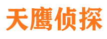 绿春侦探公司